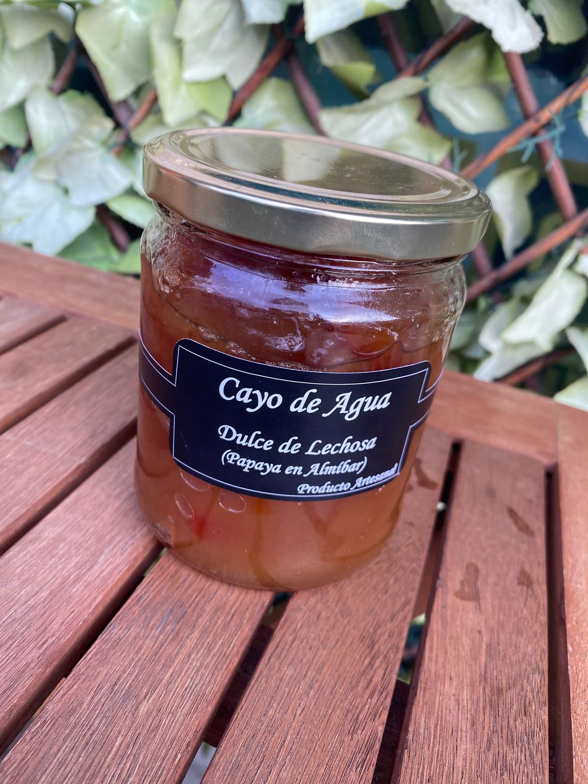 DULCE DE LECHOSA CAYO DE AGUA 450 ML